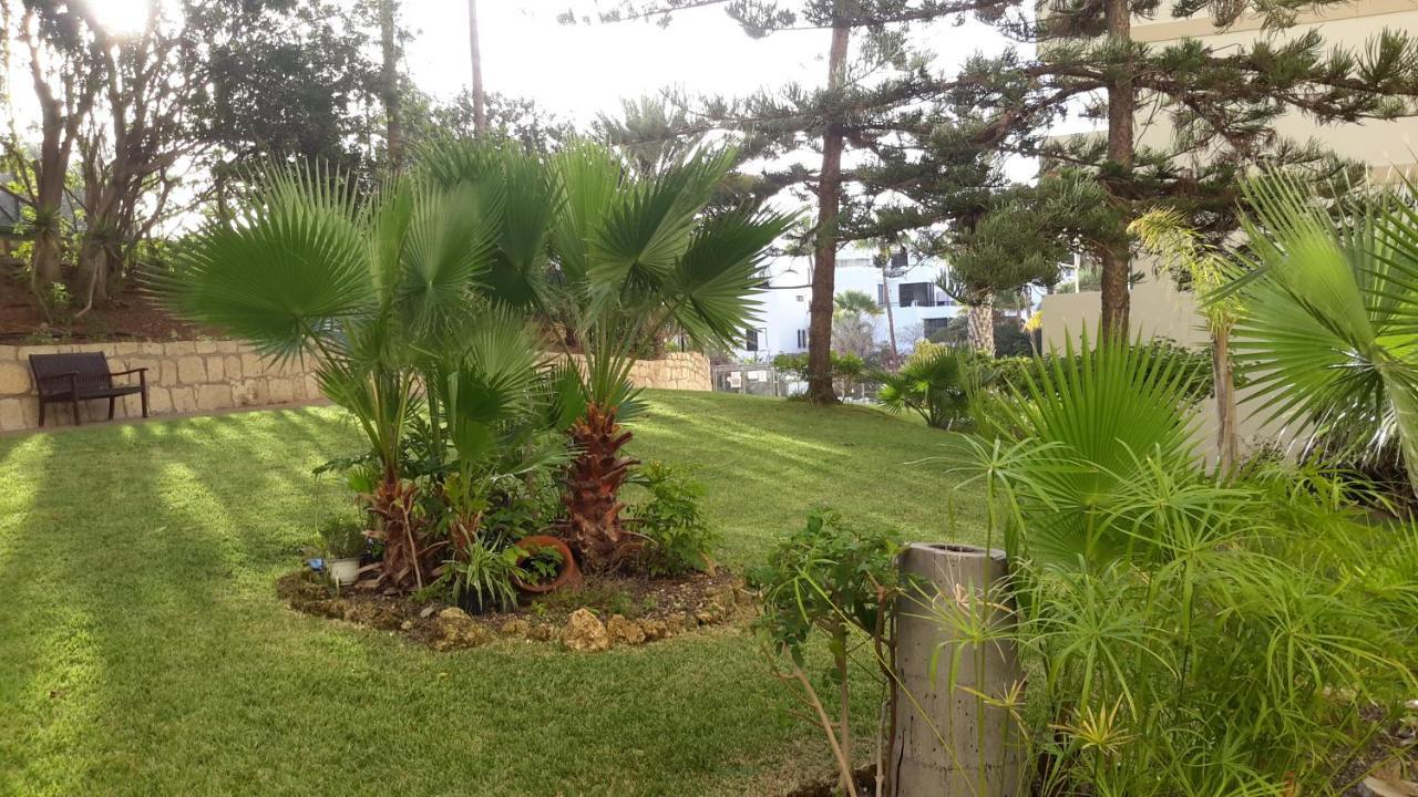 Lovely 1-Bedroom Apartment With A Big Terrace, Las Americas, Tenerife Arona  Extérieur photo